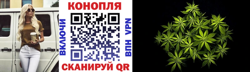 mega ТОР  Анапа  Шишки марихуана гибрид  продажа наркотиков 